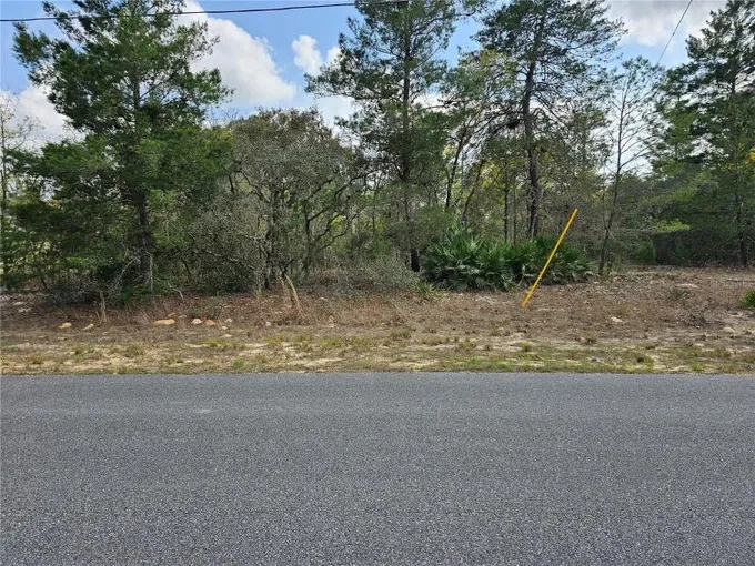 Citrus Springs, Citrus County, FL Farms and Ranches, Homesites for sale Property ID: 416188282