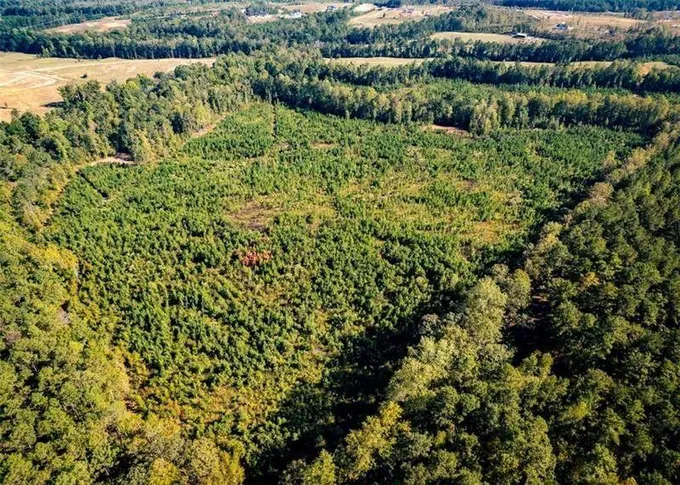 Salem, Lee County, AL Undeveloped Land for sale Property ID: 418101943