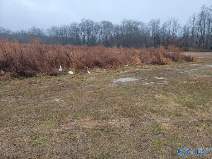 Toney, Madison County, AL Undeveloped Land, Homesites for sale Property ID: 418742484