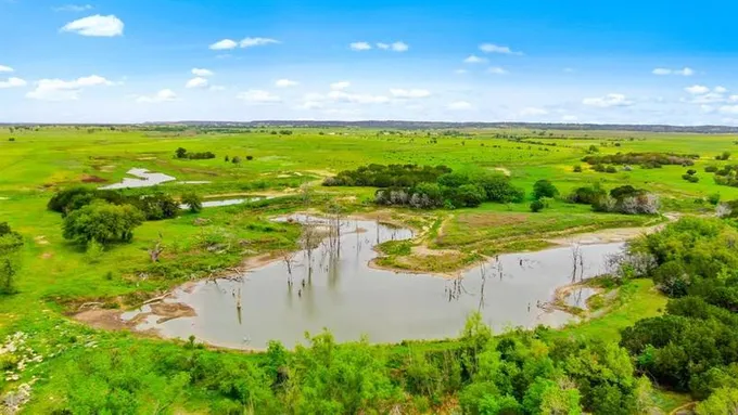 9808 State Highway 220 #345, Hico, TX 76457 for Sale