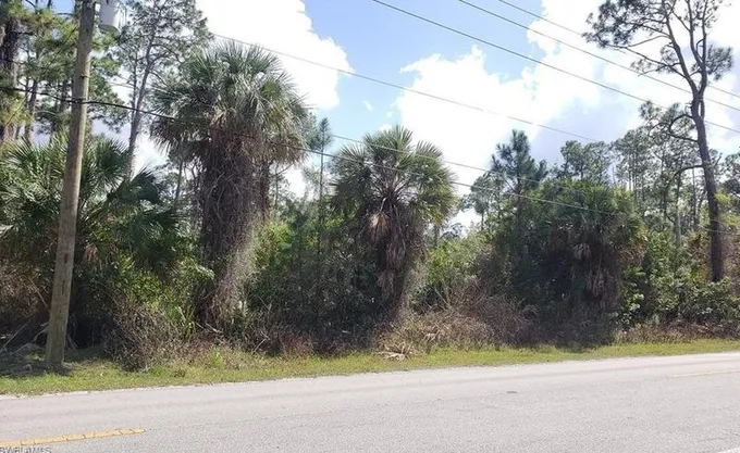 1040 Desoto Blvd S, Naples, FL 34117 - MLS 223027188 for Sale
