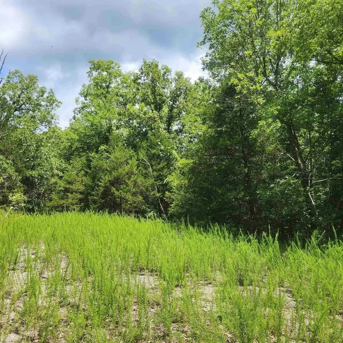 Cherokee Village, Sharp County, AR Undeveloped Land, Homesites for sale Property ID: 416915913