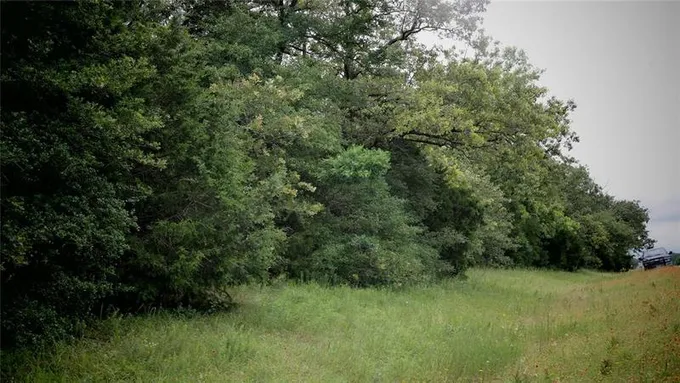 TBD HWY 164, Donie, TX 75838 for Sale
