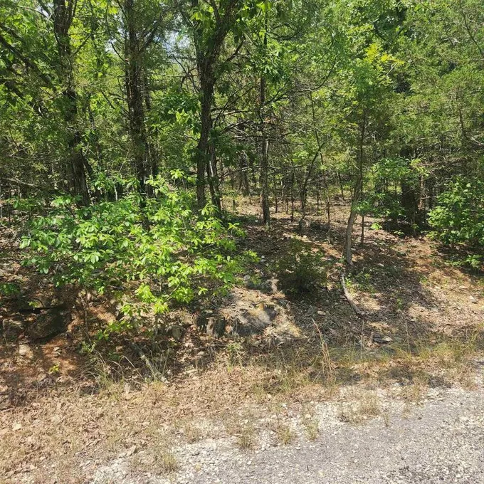 Cherokee Village, Sharp County, AR Undeveloped Land, Homesites for sale Property ID: 416915914