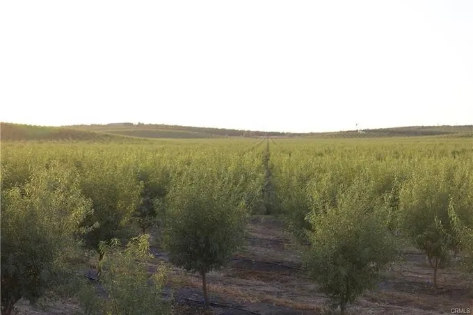 Denair, Stanislaus County, CA Farms and Ranches, Commercial Property, House for sale Property ID: 417938761