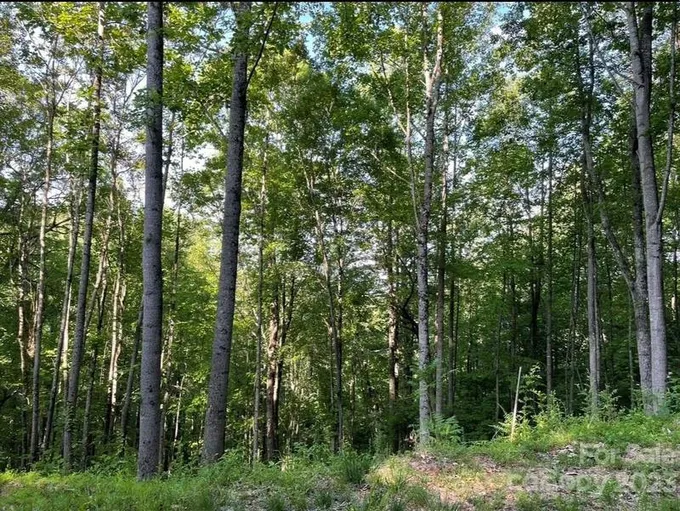 Hendersonville, Henderson County, NC Undeveloped Land, Homesites for sale Property ID: 417062956