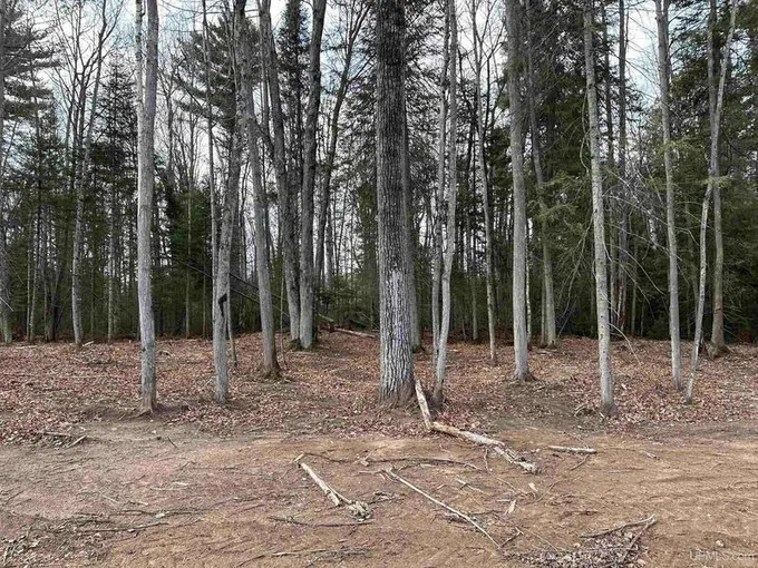 Lot 7 Parker, Marquette, MI 49855  611444601 for Sale