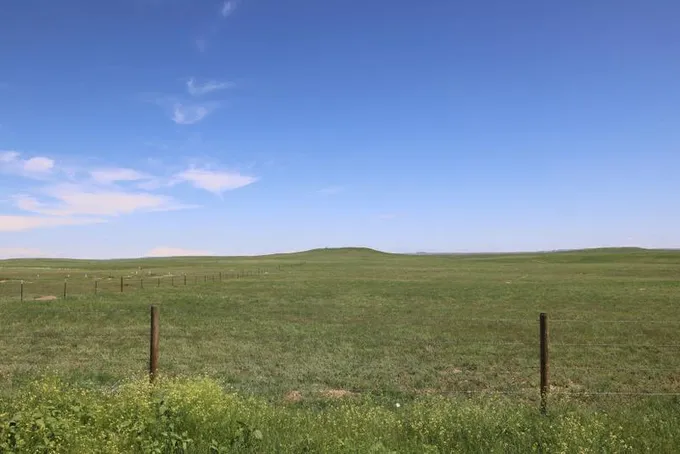 Nunn, Weld County, CO Undeveloped Land for sale Property ID: 418138647