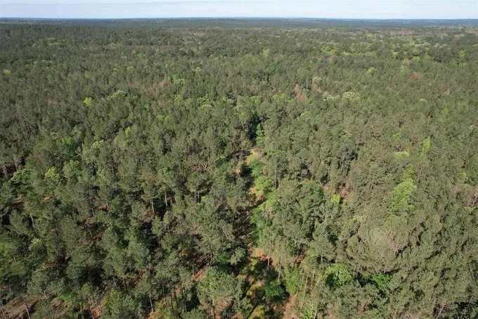 TBD CR 2155 - Tract A, Crockett, TX 75835 for Sale