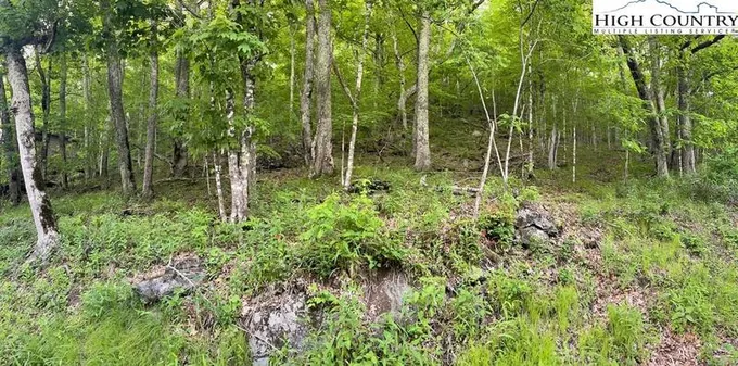 Tbd Buckeye Ln, Seven Devils, NC 28604 - MLS 238119 for Sale