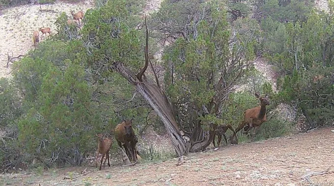 Lots 1-2 Colo Land & Grazing, Gardner, CO 81040 - MLS 4886957 for Sale