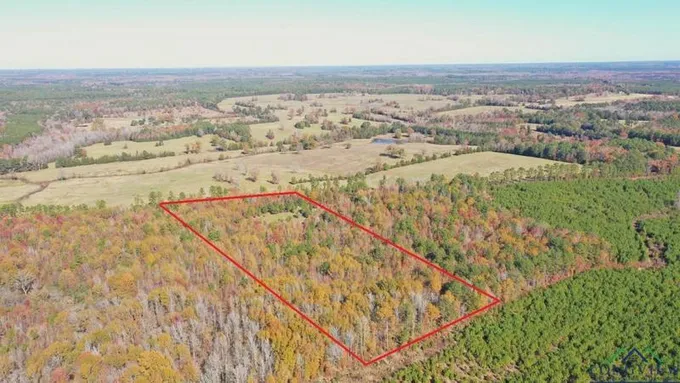 TBD CR 4335, Bivins, TX 75555 Land For Sale  MLS# 20237119