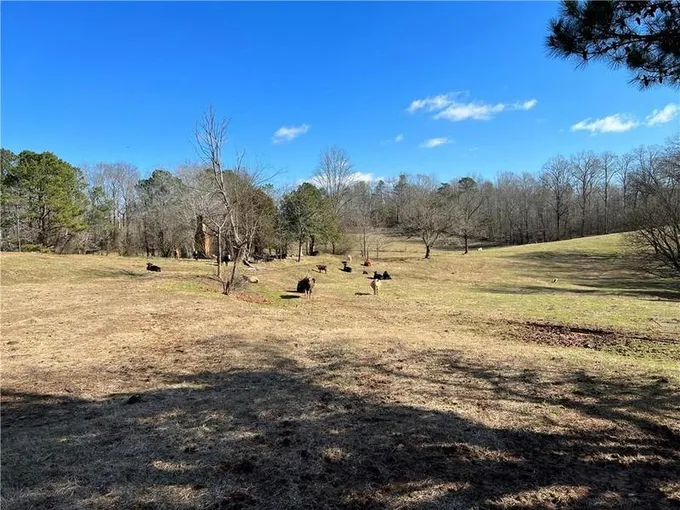 0 CLARK LANE, Ball Ground, GA 30107 Land For Sale  MLS# 7167491