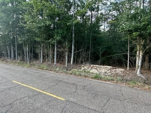 Bush, Saint Tammany Parish, LA Undeveloped Land, Homesites for sale Property ID: 417581008