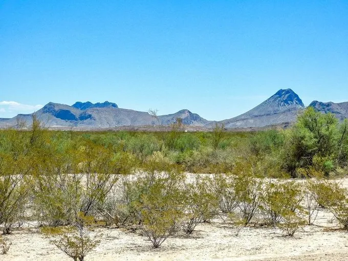 2100 Romero Rd, Terlingua, TX 79830 for Sale