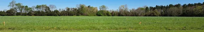 41 Premier Dr, Hephzibah, GA 30815 - MLS 514404 for Sale