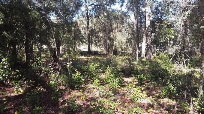 Beverly Hills, Citrus County, FL Undeveloped Land, Homesites for sale Property ID: 415269060