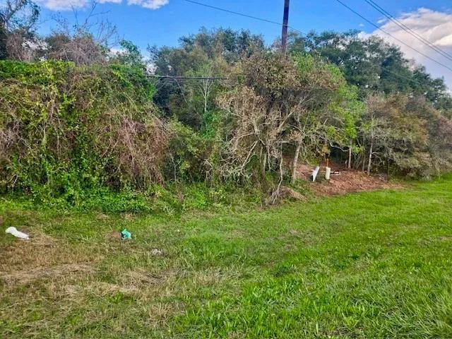 Lot E5 E S F Austin, Jones Creek, TX 77541 for Sale
