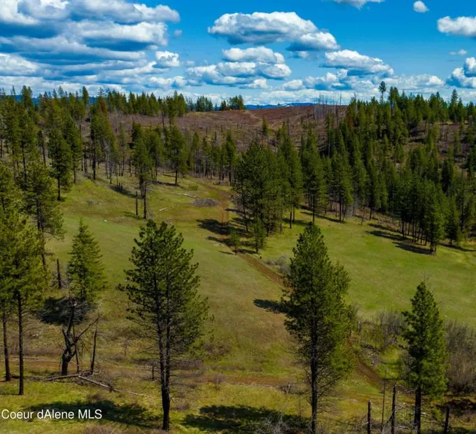 NKA 20ACS HIDDEN VALLEY LN, Weippe, ID 83553 Land For Sale  MLS# 22-4478