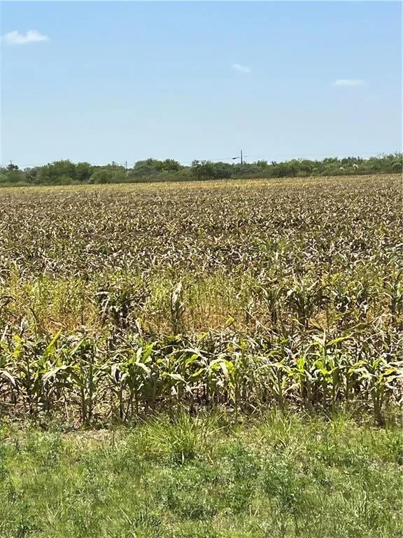 15489 County Road 1726, Odem, TX 78370 for Sale