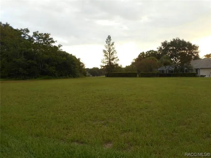 L49 SW 196TH AVENUE, Dunnellon, FL 34432 Land For Sale  MLS# 825802 for Rent