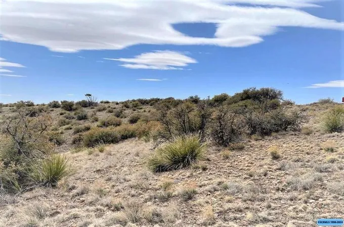 Ridge Road, Silver City, NM 88061  618447337 for Sale