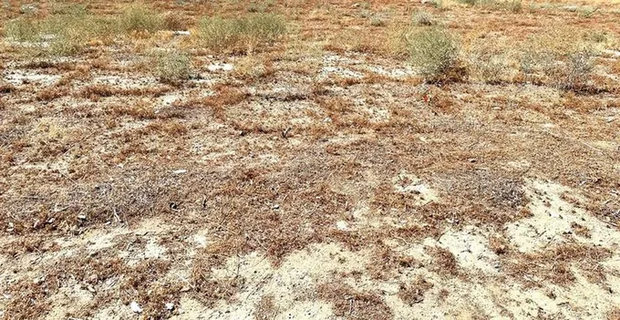 0 Vac/Ave A/Vic 172 Stw, Fairmont, CA 93536 - MLS IV22172869 for Sale