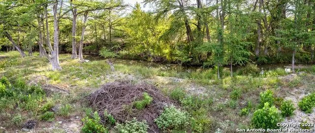14919 STATE HIGHWAY 16 N, Medina, TX 78055 Land For Sale  MLS# 1720593