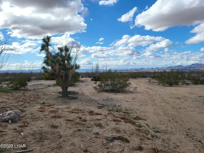3630 W YELLOW BIRD DR, Yucca, AZ 86438 Land For Sale  MLS# 1026058
