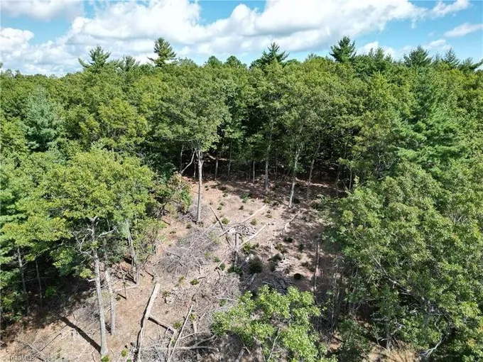 Purlear, Wilkes County, NC Homesites for sale Property ID: 417894149