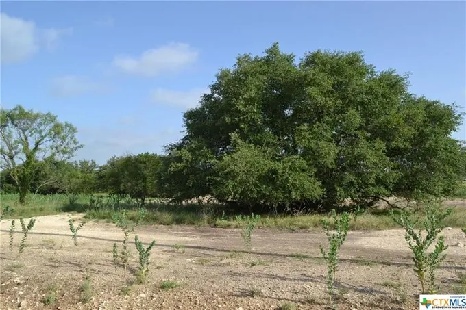 Block 2, Lot 1 Lampasas River Place Phase Two, Kempner, TX 76539 for Sale