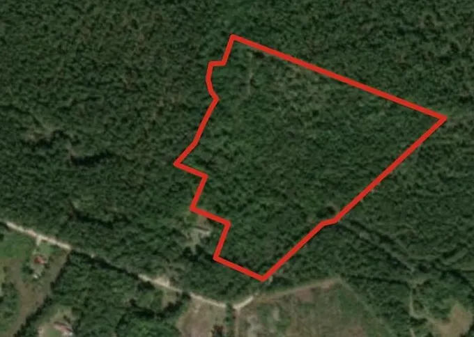 Smoaks, Colleton County, SC Farms and Ranches for sale Property ID: 417175548