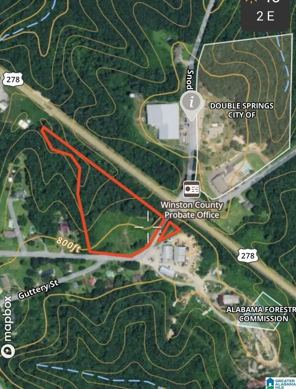 Double Springs, Winston County, AL Undeveloped Land for sale Property ID: 417562757