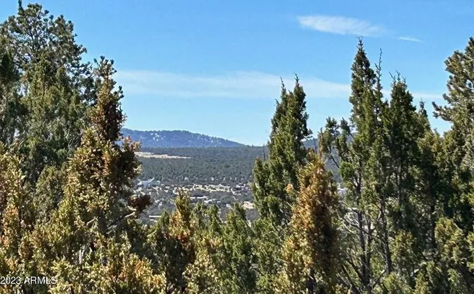 Lot 46 Uphill Trail #46, Vernon, AZ 85940 - MLS 6547881 for Sale