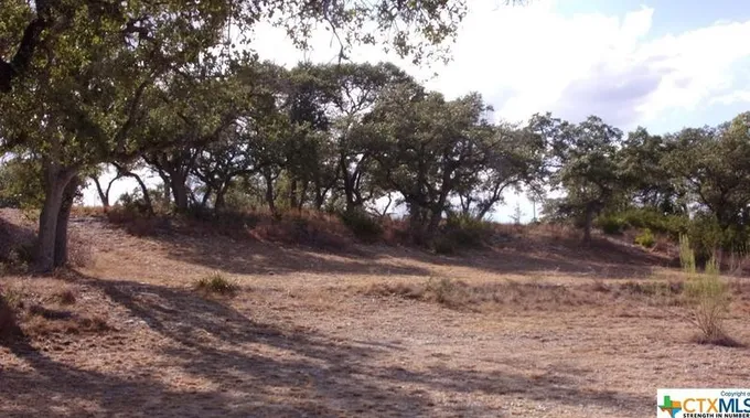 184 Restless Wind, Spring Branch, TX 78070 - MLS 522654 for Sale