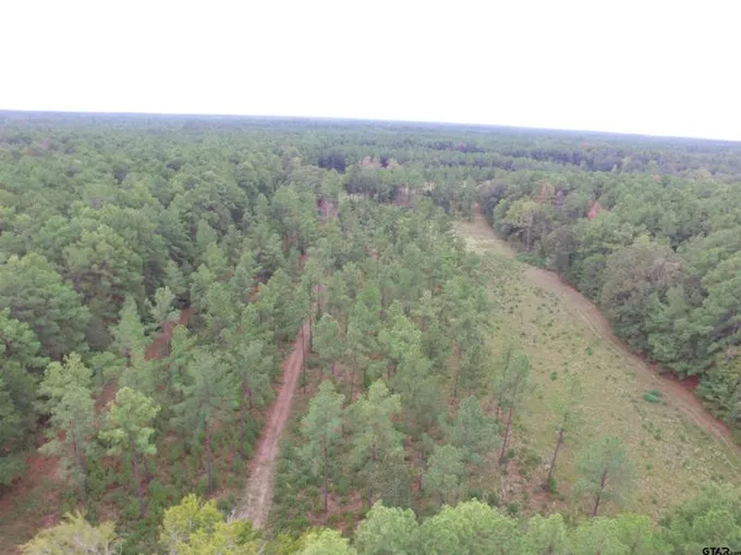 TBD CR 4600, Kennard, TX 75847 Land For Sale  MLS# 23013471