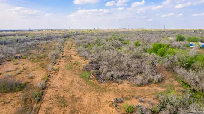 1580 Corgey Rd, Pleasanton, TX 78064 for Sale