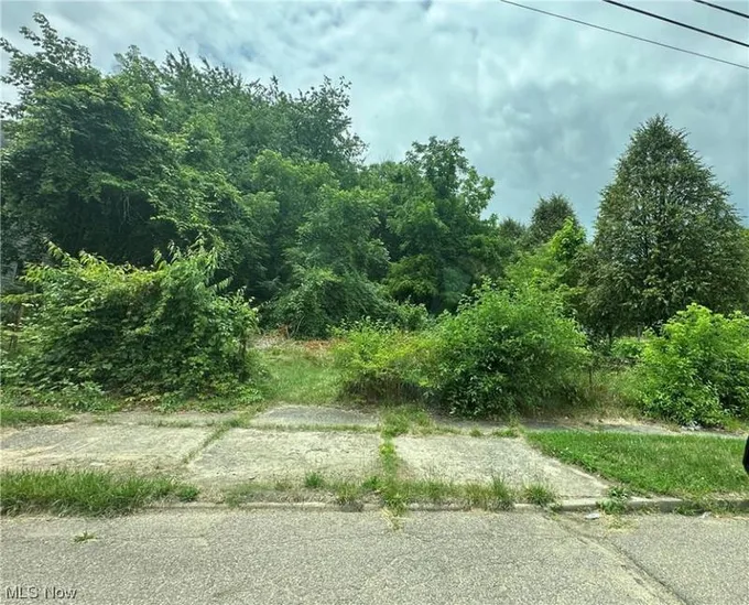 532 DOUGLAS ST, Akron, OH 44307 Land For Sale  MLS# 4476383