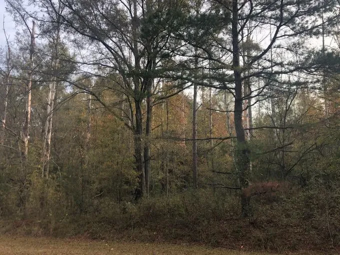 Waynesboro, Burke County, GA Undeveloped Land, Homesites for sale Property ID: 418271061