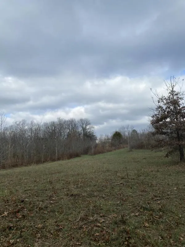 0 BOB LEWIS RD, Indian Mound, TN 37079 Land For Sale  MLS# 2601479