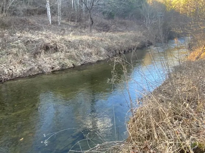 Murphy, Cherokee County, NC Recreational Property, Timberland Property, Hunting Property for sale Property ID: 415646843