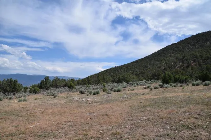 Ephraim, Sanpete County, UT Farms and Ranches, Undeveloped Land for sale Property ID: 417844493