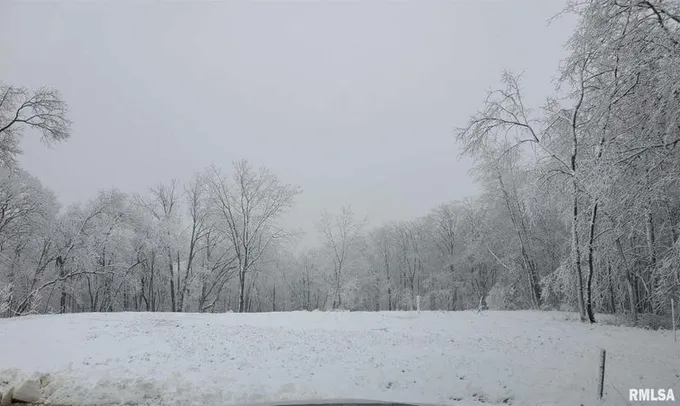107 ROSEMARY LN, Germantown Hills, IL 61548 Land For Sale  MLS# PA1221615