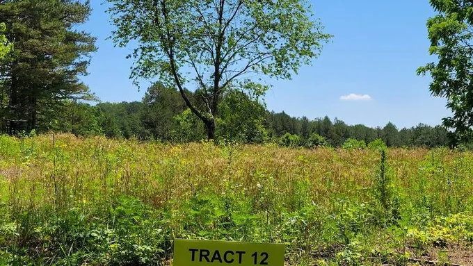3401 Hazel Patch Road, East Bernstadt, KY 40729  620603702 for Sale