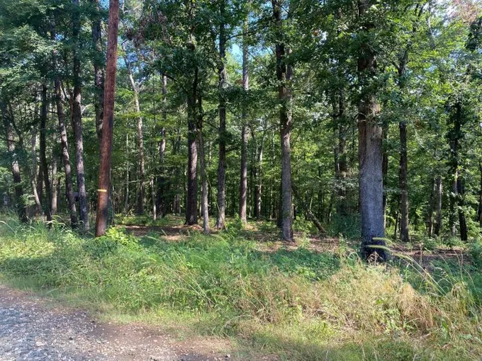 Many, Sabine Parish, LA Undeveloped Land, Homesites for sale Property ID: 417093068