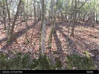 Ellijay, Gilmer County, GA Homesites for sale Property ID: 418612348