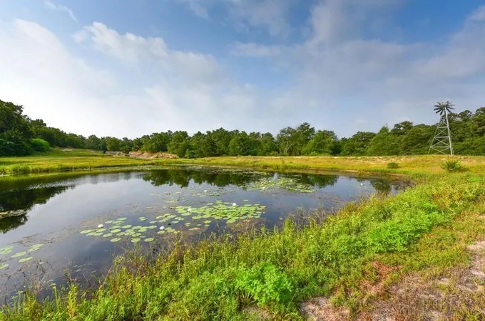 7935 County Road 308 - 337 Acres, Caldwell, TX 77836 - MLS 15661324 for Sale