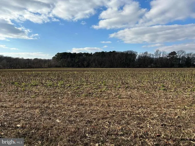COKESBURY ROAD, RHODESDALE, MD 21659  621227745 for Sale