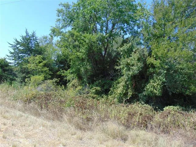 TBD F M 55, Barry, TX 75102 Land For Sale  MLS# 20411663