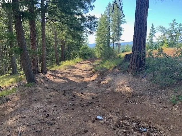43 Pine Ridge #62, Goldendale, WA 98620 - MLS 23384817 for Sale